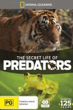 Watch Secret Life of Predators Zmovie