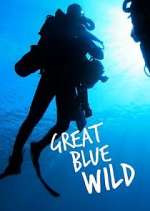 Watch Great Blue Wild Zmovie
