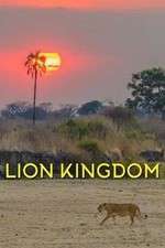 Watch Lion Kingdom Zmovie