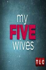 Watch My Five Wives Zmovie