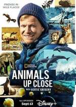 Watch Animals Up Close with Bertie Gregory Zmovie