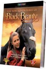 Watch The New Adventures of Black Beauty Zmovie