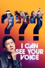 i can see your voice tv poster