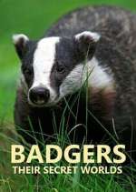 Watch Badgers: Their Secret Worlds Zmovie