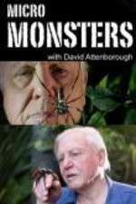 Watch Micro Monsters 3D with David Attenborough Zmovie