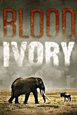 Watch Blood Ivory Zmovie