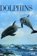 Watch Dolphins: Spy in the Pod Zmovie