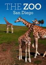 Watch The Zoo: San Diego Zmovie