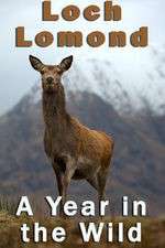 Watch Loch Lomond: A Year in the Wild Zmovie