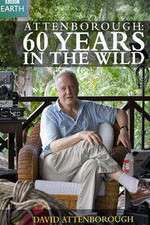 Watch Attenborough 60 Years in the Wild Zmovie