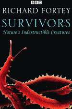Watch Survivors: Nature's Indestructible Creatures Zmovie