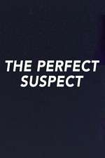 Watch The Perfect Suspect Zmovie