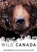 Watch Wild Canada Zmovie