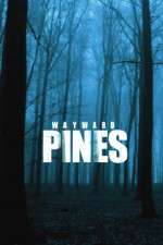 Watch Wayward Pines Zmovie