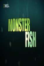 Watch National Geographic Monster Fish Zmovie