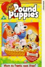 Watch Pound Puppies Zmovie