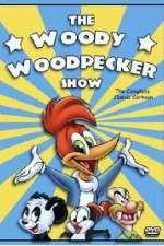 Watch The Woody Woodpecker Show Zmovie