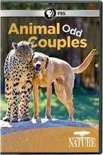 Watch Animal Odd Couples Zmovie