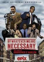 Watch By Whatever Means Necessary: The Times of Godfather of Harlem Zmovie