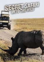 Watch Secret Safari: Into the Wild Zmovie