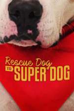 Watch Rescue Dog to Super Dog (US) Zmovie