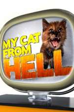Watch My Cat from Hell Zmovie
