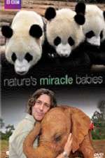 Watch Natures Miracle Babies Zmovie