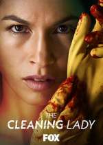 Watch The Cleaning Lady Zmovie
