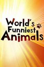 Watch The World\'s Funniest Animals Zmovie