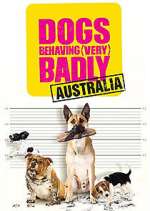 Watch Dogs Behaving (Very) Badly Australia Zmovie