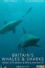 Watch Britain's Whales and Sharks Zmovie