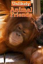 Watch Unlikely Animal Friends Zmovie