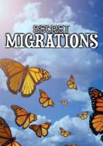 Watch Secret Migrations Zmovie