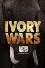 Watch Ivory Wars Zmovie