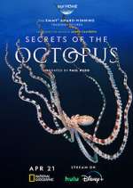 Secrets of the Octopus zmovie