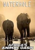 Watch Waterhole: Africa's Animal Oasis Zmovie