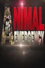 Watch Animal Emergency Zmovie