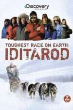 Watch Iditarod Zmovie