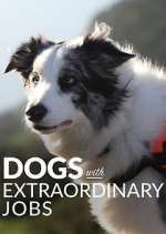 Watch Dogs with Extraordinary Jobs Zmovie