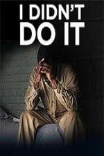 Watch I Didn't Do It (2012) Zmovie