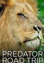 Watch Predator Road Trip Zmovie