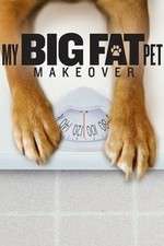 Watch My Big Fat Pet Makeover Zmovie