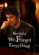 Watch Because We Forget Everything Zmovie