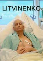 Watch Litvinenko Zmovie