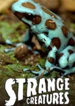 Watch Strange Creatures Zmovie