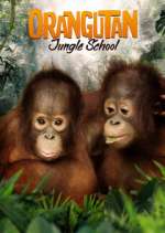 Watch Orangutan Jungle School Zmovie
