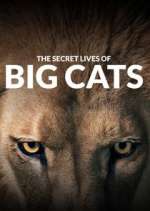 Watch The Secret Lives of Big Cats Zmovie
