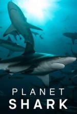 Watch Planet Shark Zmovie