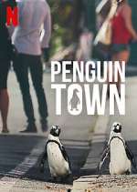 Watch Penguin Town Zmovie