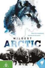 Watch Wildest Arctic Zmovie